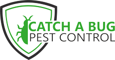 Catch A Bug