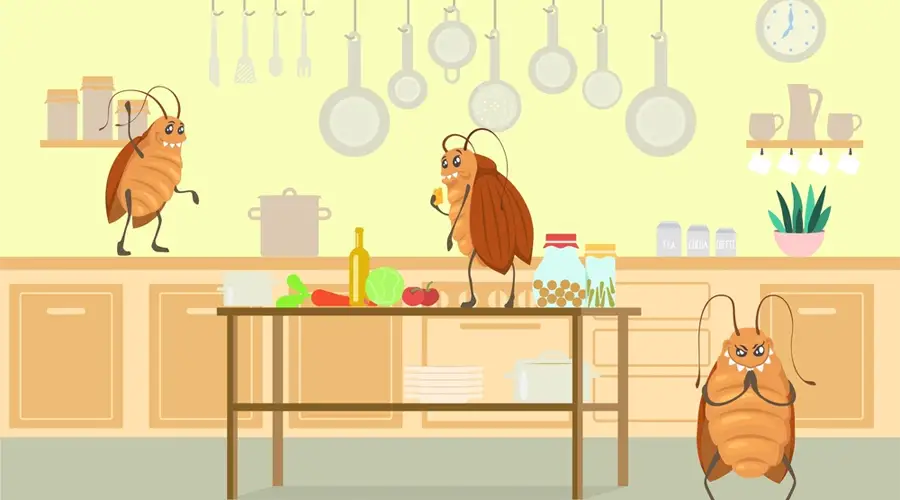 Hidden Spots in Your Home That Attract Pests & How to Keep Them Out Melbourne