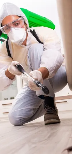 Are your pest control methods safe