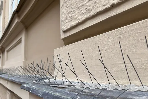 Bird Deterrent Systems for Industrial Buildings
