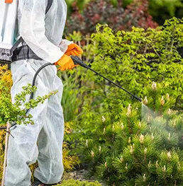 Can I get a quote before booking for Pest Control Melbourne