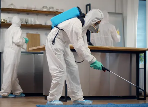 Commercial Pest Control Services Melbourne