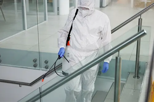 General Pest Management for Businesses