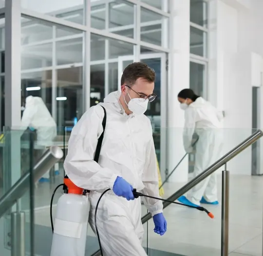 Melbournes Trusted Pest Control