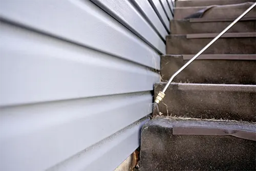 Rodent Control for Commercial Properties