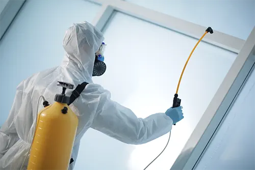 Sanitation Structural Consulting for Pest Prevention